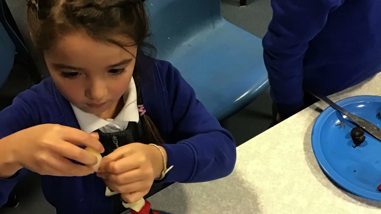 Year 1 - Enterprise - Fruit Skewers