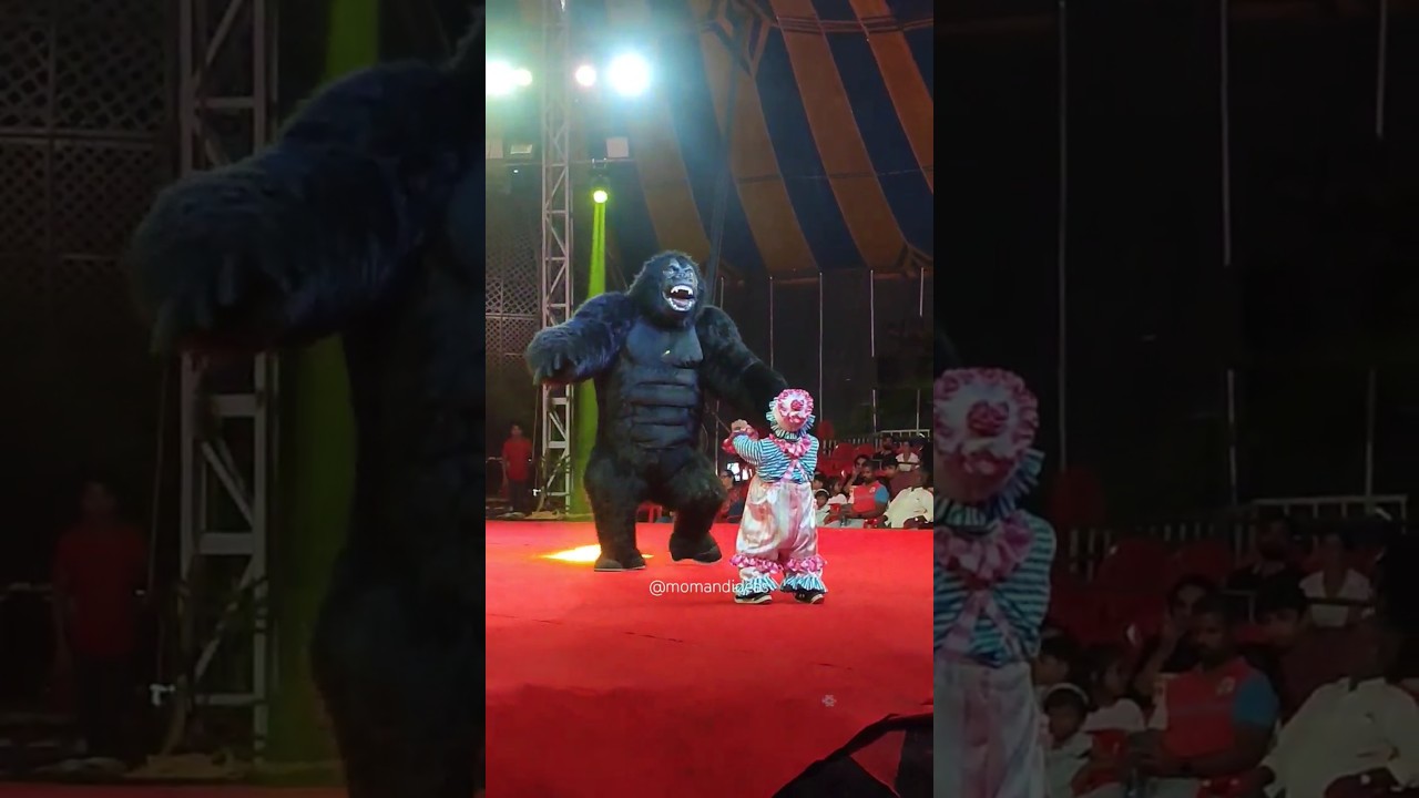 Rambo Circus - Fun for all ages! Rambo Circus Sanpada, Navi Mumbai #indiancircus #rambocircus
