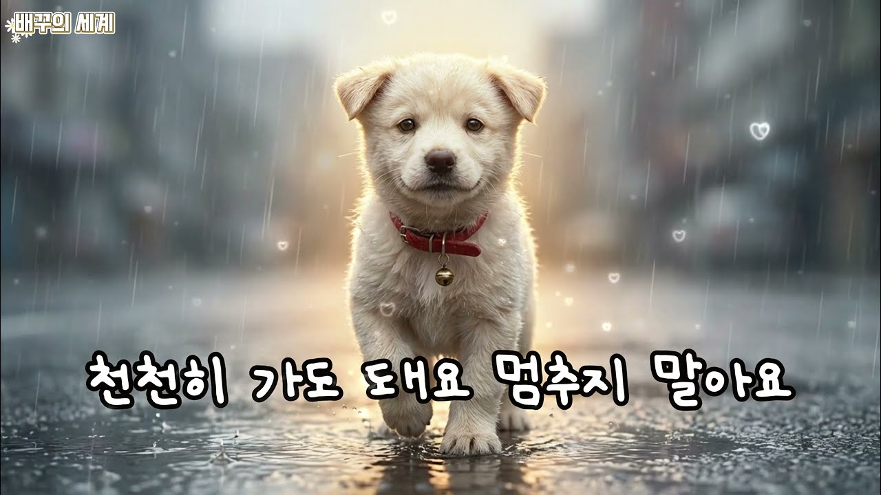 우리 힘을 내요 | 배꾸 🎧 Original Song