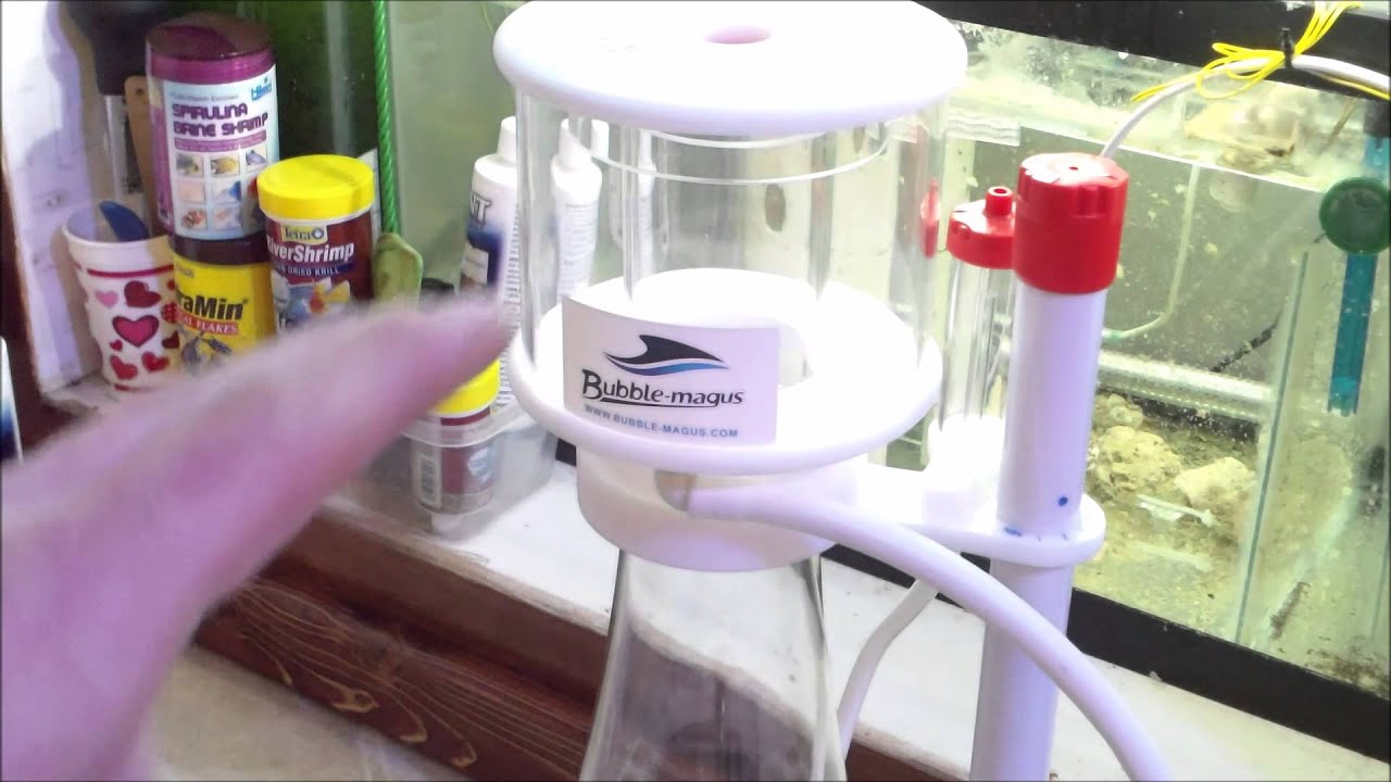 Bubble Magus Curve 5 Protein Skimmer Install / First Look