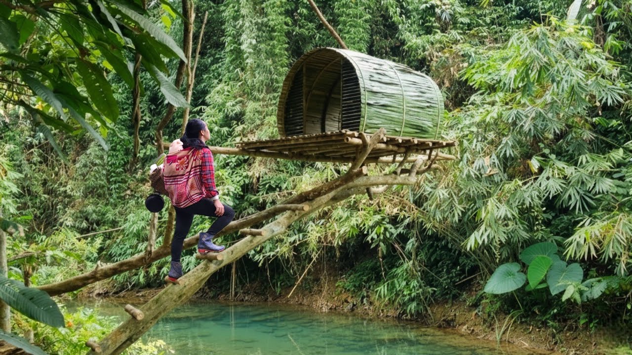 A single mother renovated a treehouse on the riverbank into a hut, living alone in the wilderness.