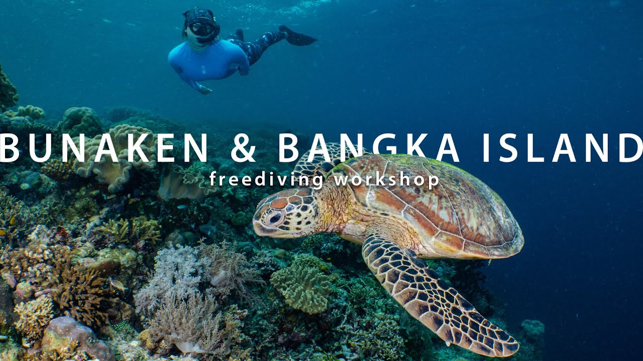 Bunaken & Bangka Island Freediving Workshop