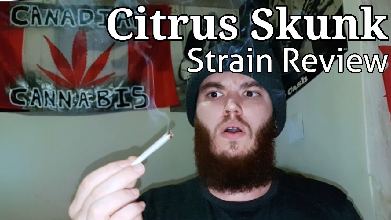 Strain Review - Citrus Skunk
