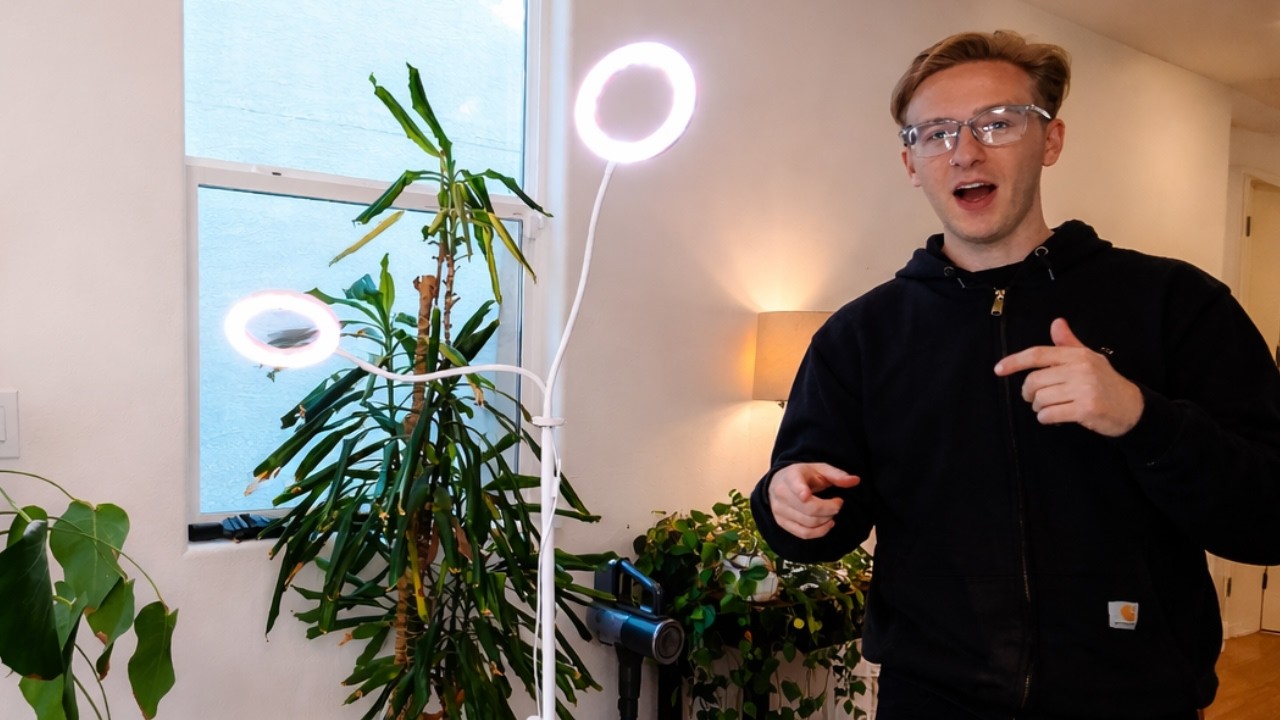 Best Grow Light for Indoor Plants? 40W Full Spectrum Review