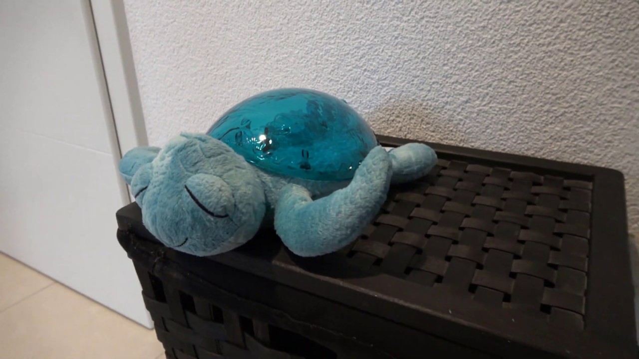 Tranquil Turtle Cloud B - Erfahrung mit der Nachtlicht-Schildkröte