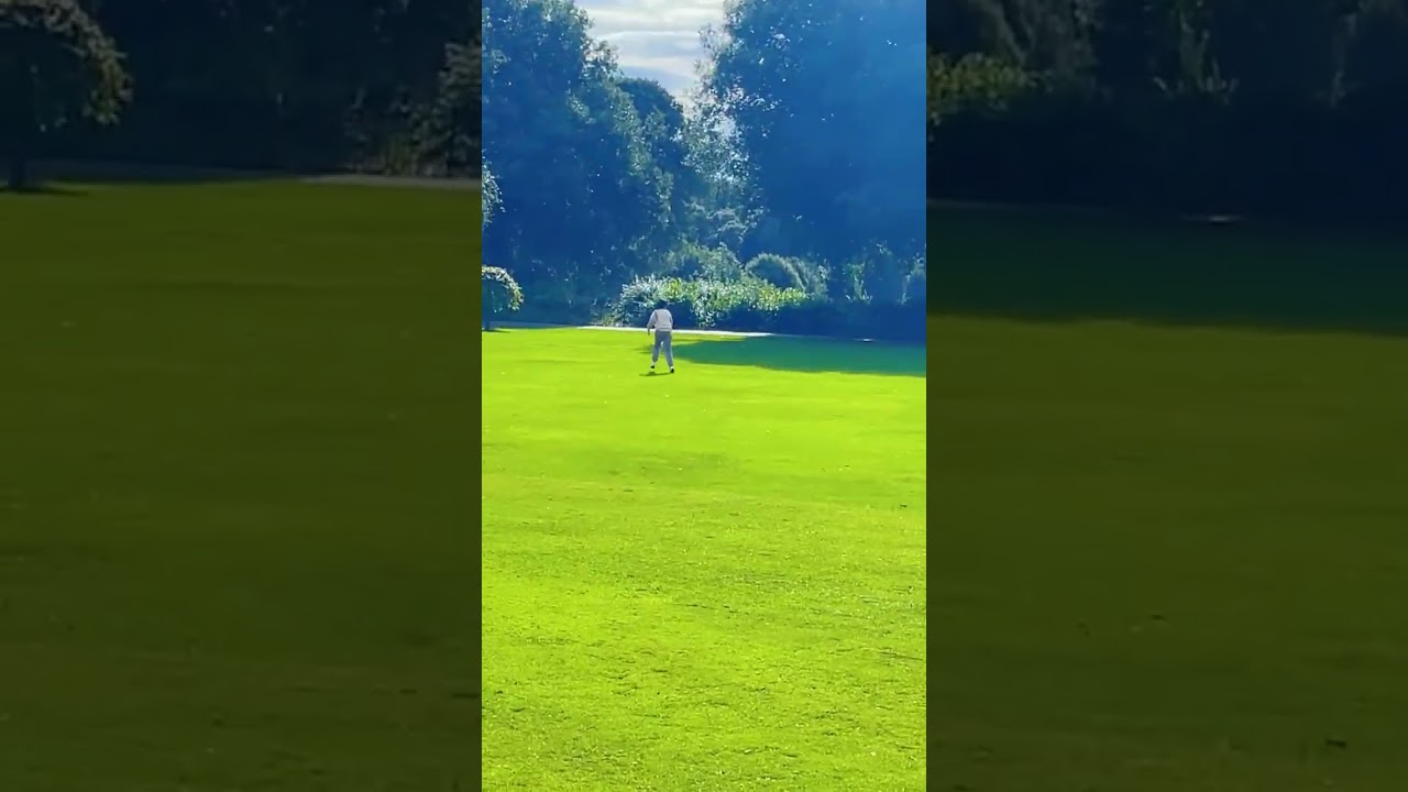 Like in phonics park in Dublin 