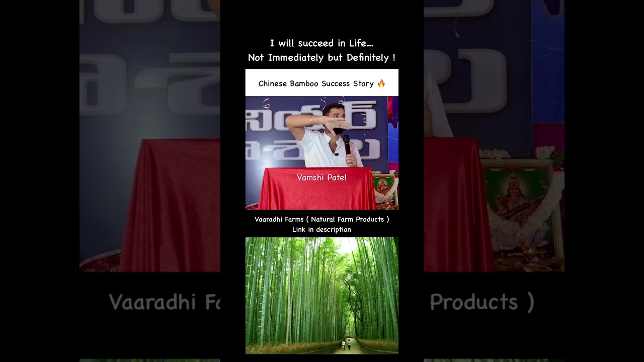 Short 815 | Chinese Bamboo Success Story | Vamshi Patel