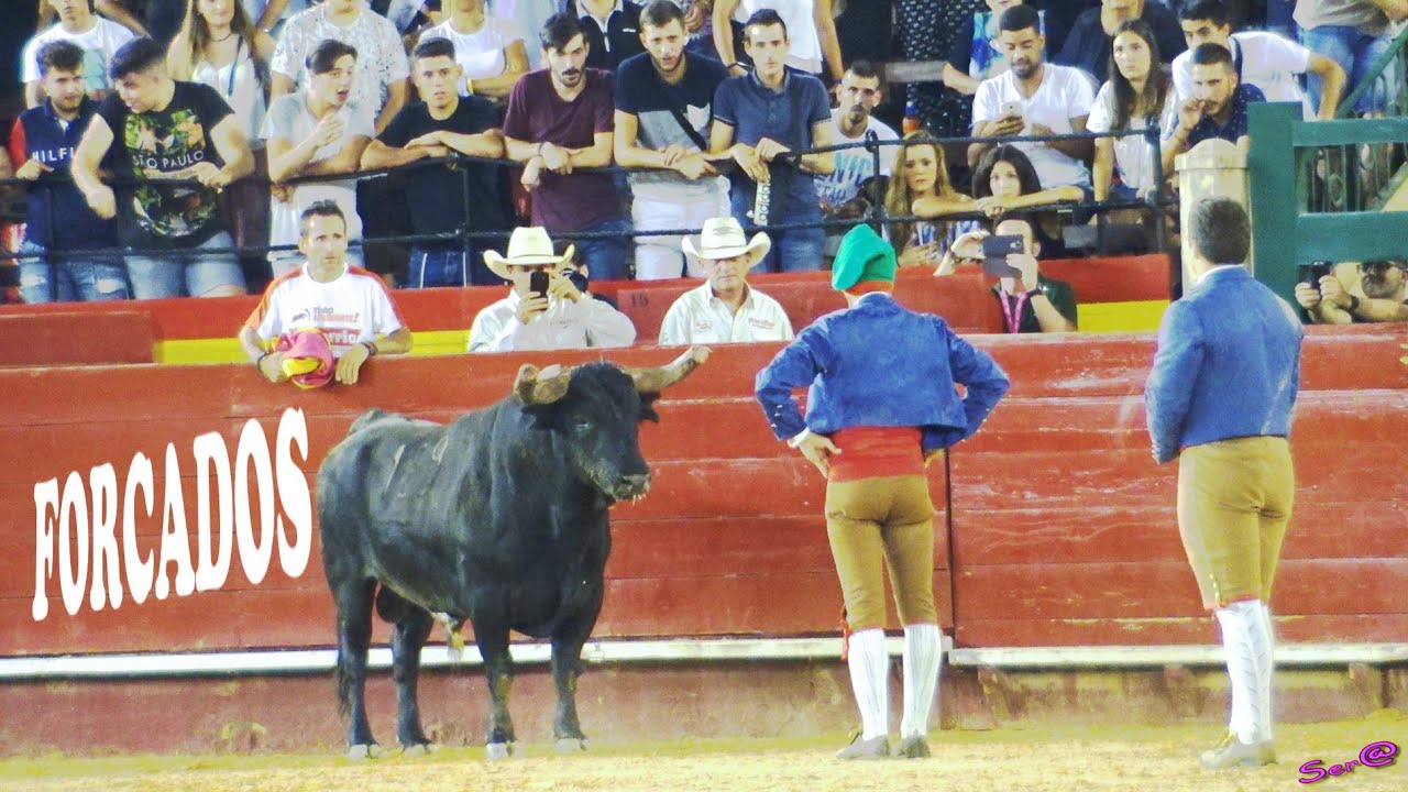 VALENCIA 19   Los FORCADOS  Portugueses