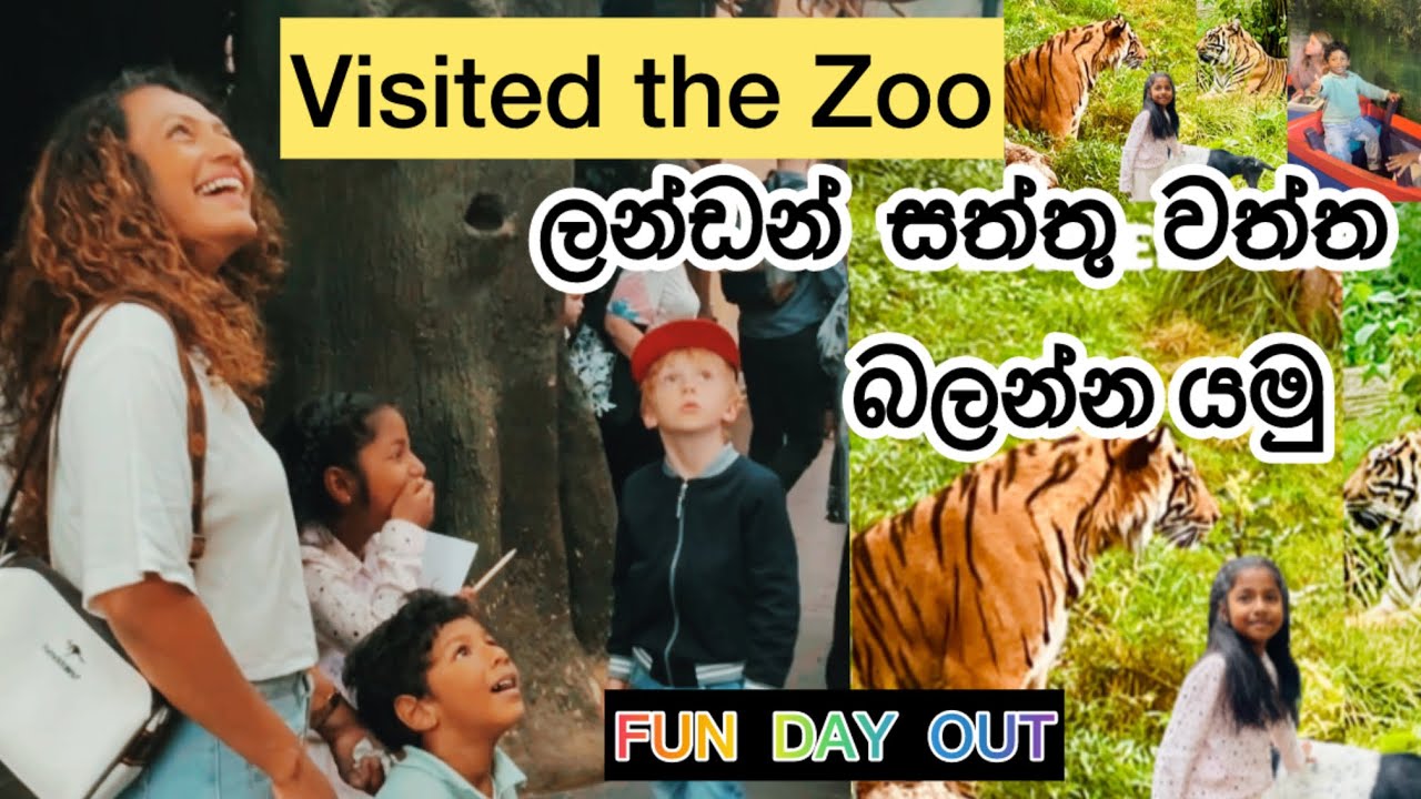 DAY OUT WITH KIDS |  ලන්ඩන් සත්තු වත්ත | LONDON ZOO vist with Kids Summer  Holiday | Uk Srilankans