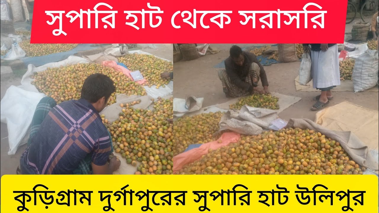 সুপারি হাট থেকে সরাসরি কুড়িগ্রাম দুর্গাপুর সুপারি হাট উলিপুর Business Power  is live!