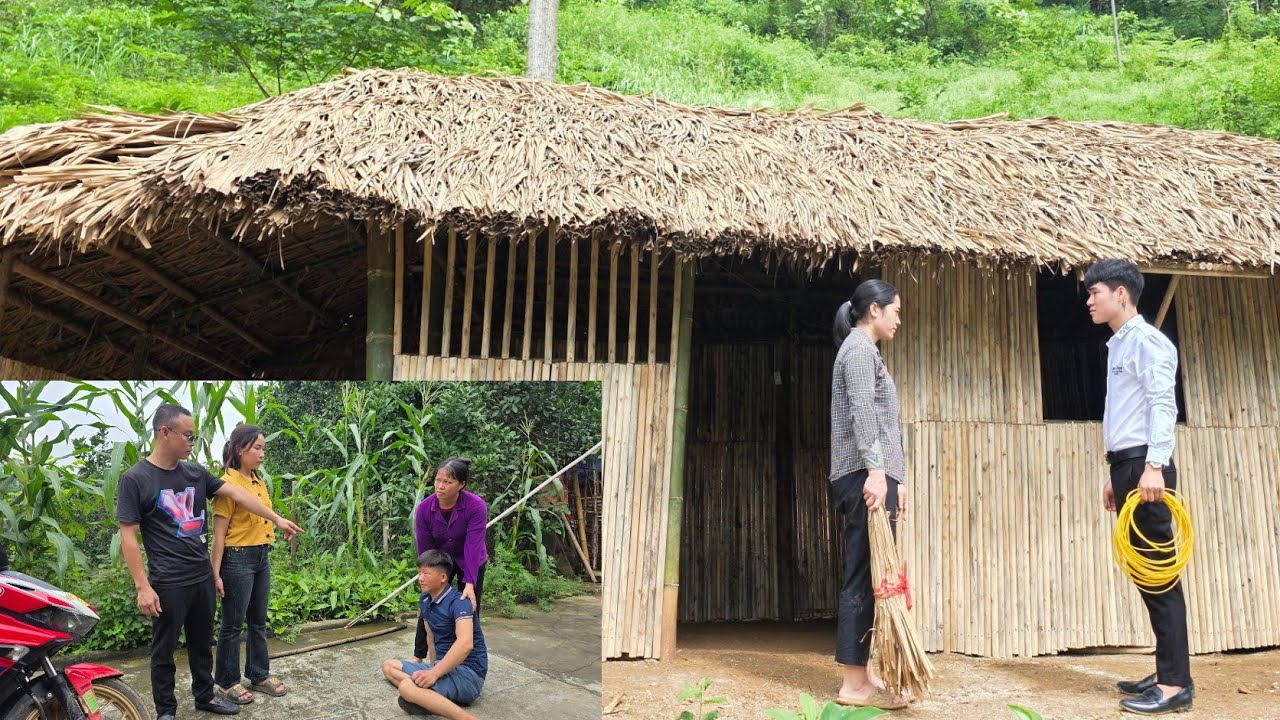 CEO Hai Nam helps single mother build house and lets her work on his farm, ex-husband gets punished.