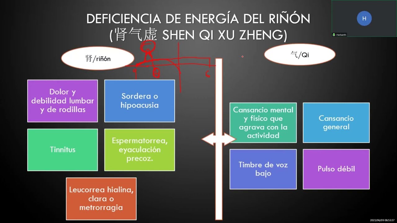 11. Sindromes de Riñón: Otros síndromes de Riñón y puntos de acupuntura para su manejo