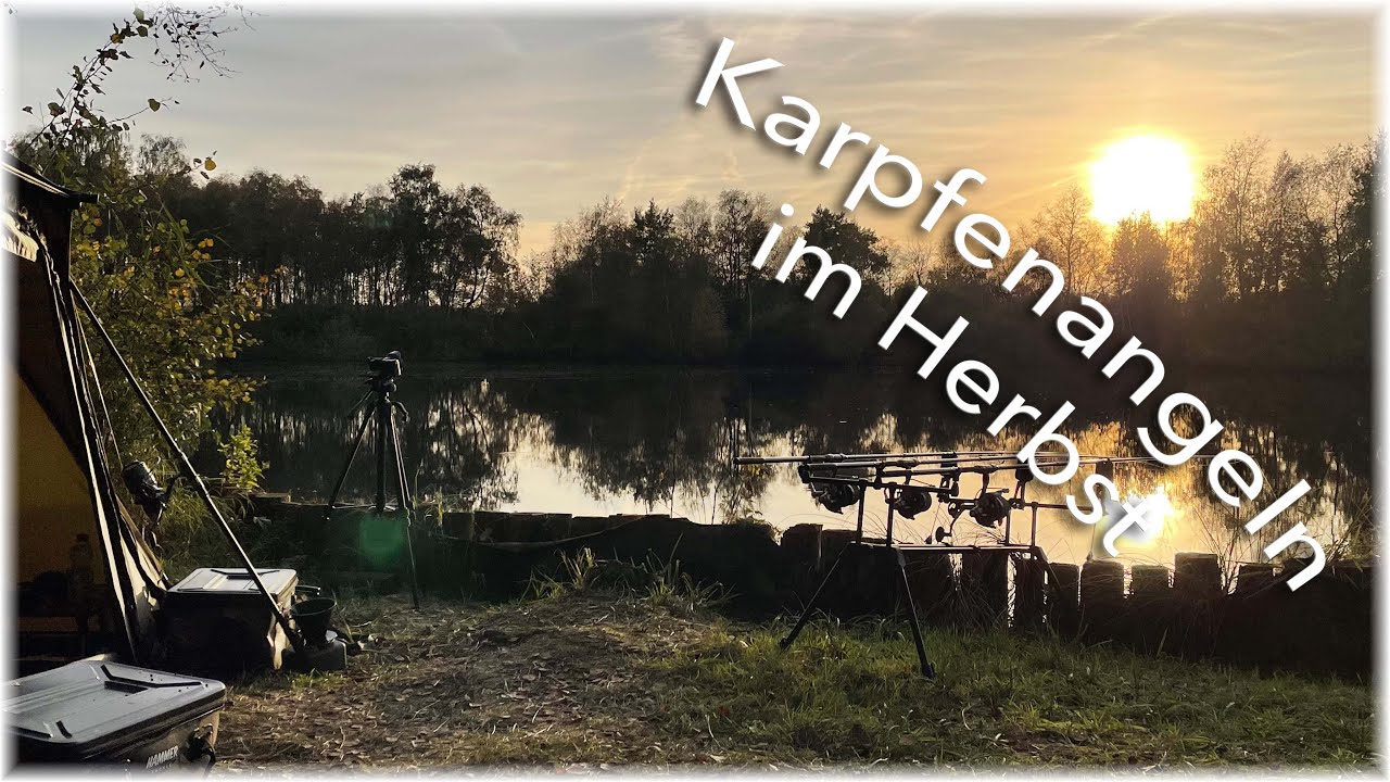Karpfenangeln im Herbst
