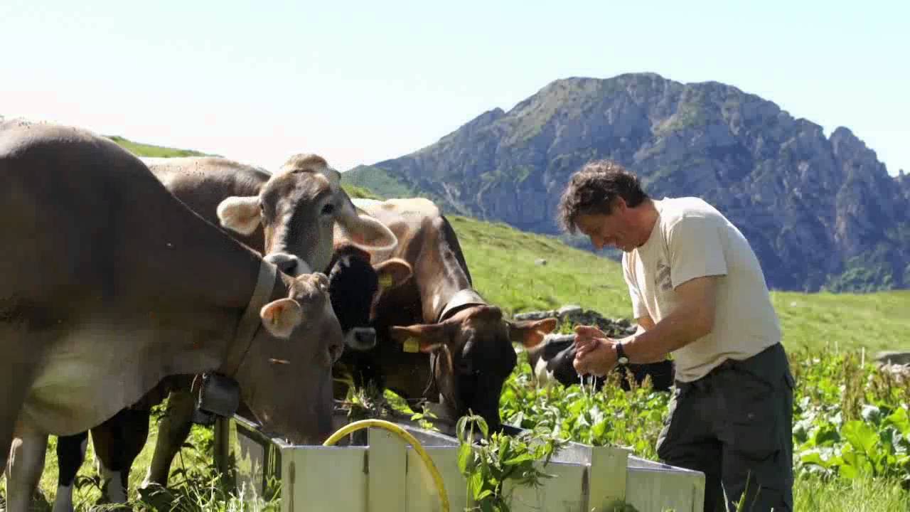 Transumanza in Maniva  (I parte)