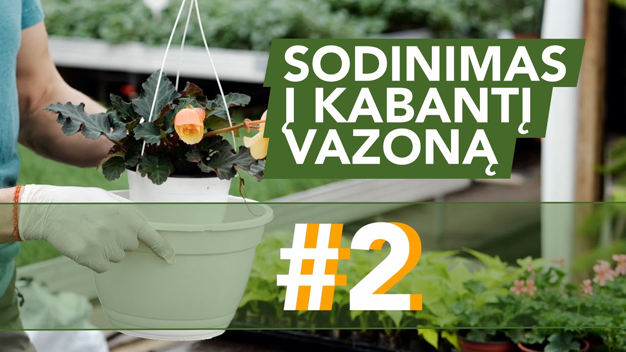 Augalų sodinimas į kabančius vazonus | Mokomasis video #2