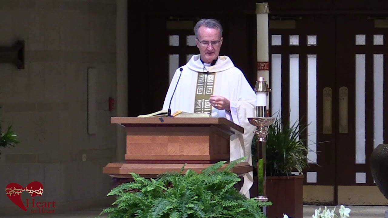 Video Homily: Feast of the Assumption