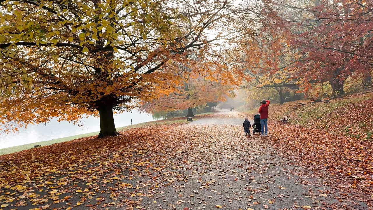 Autumn morning walk in Roundhay Park, A peaceful environment 🍂