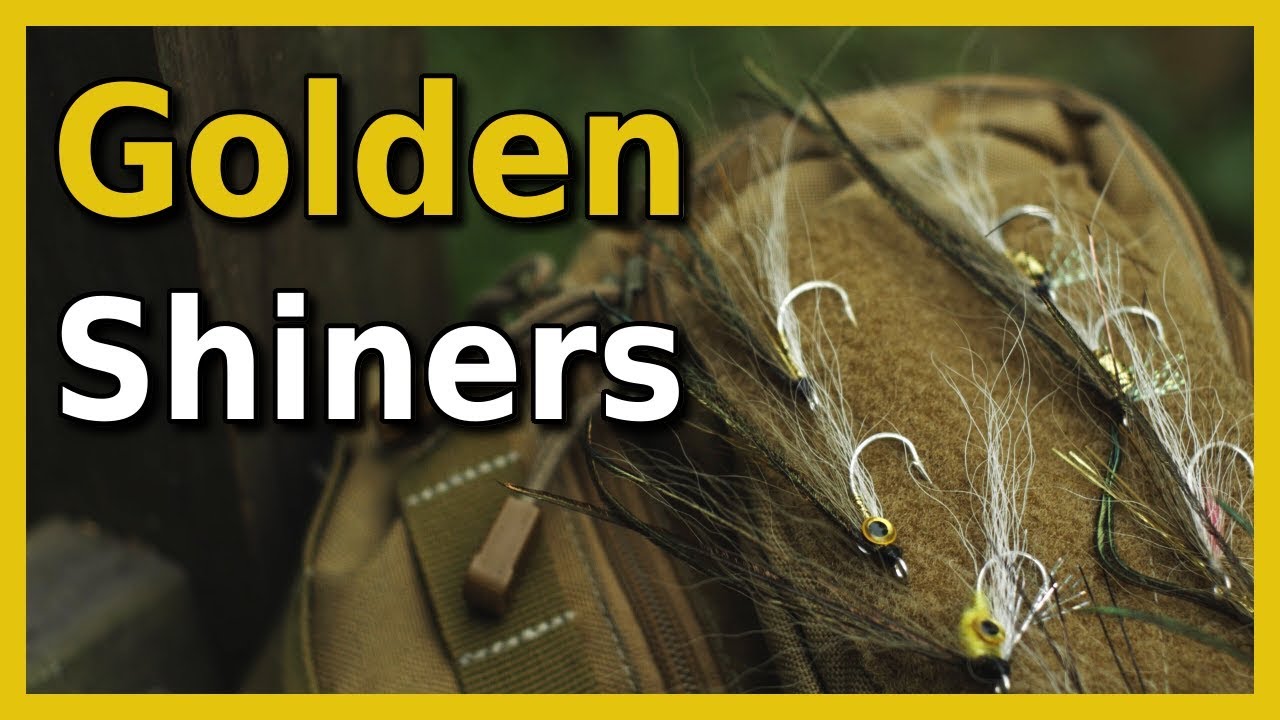 Fly Tying Bass Flies | Golden Shiner Fly Pattern
