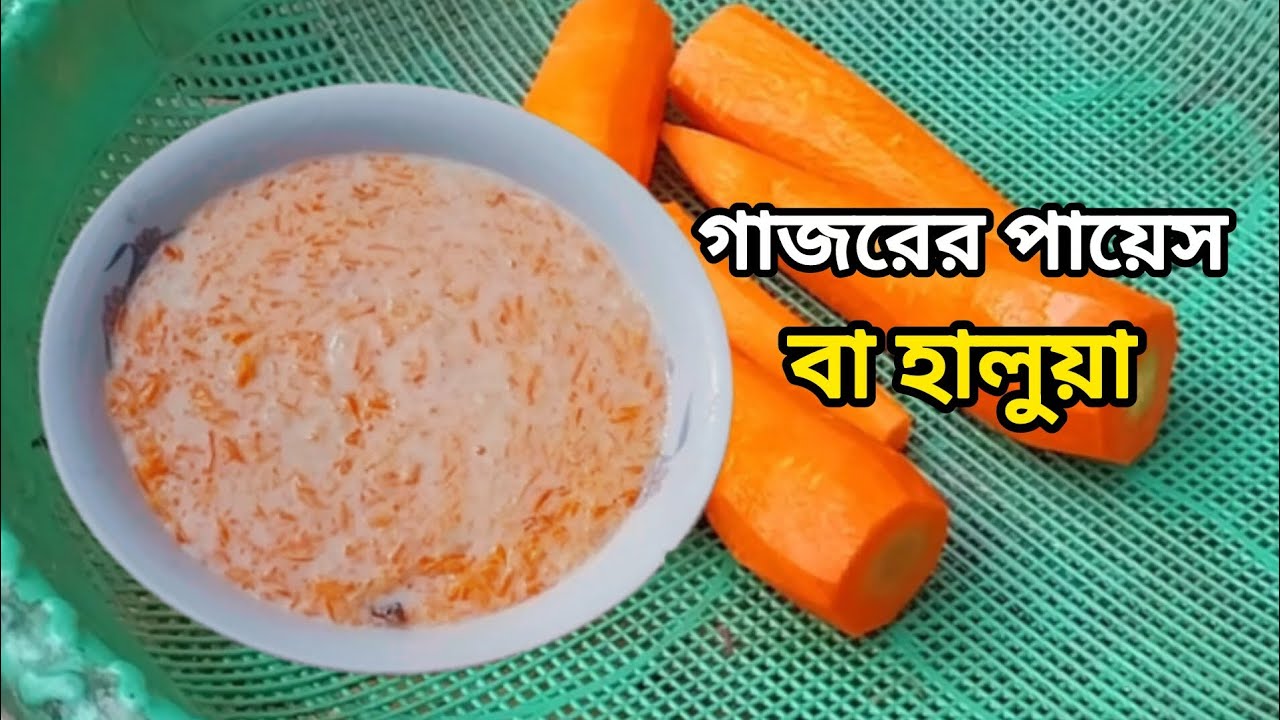 গাজরের পায়েস বা হালুয়া রেসিপি | gajorer payesh ba haluya recipe | @jerin1234-5 #cooking 