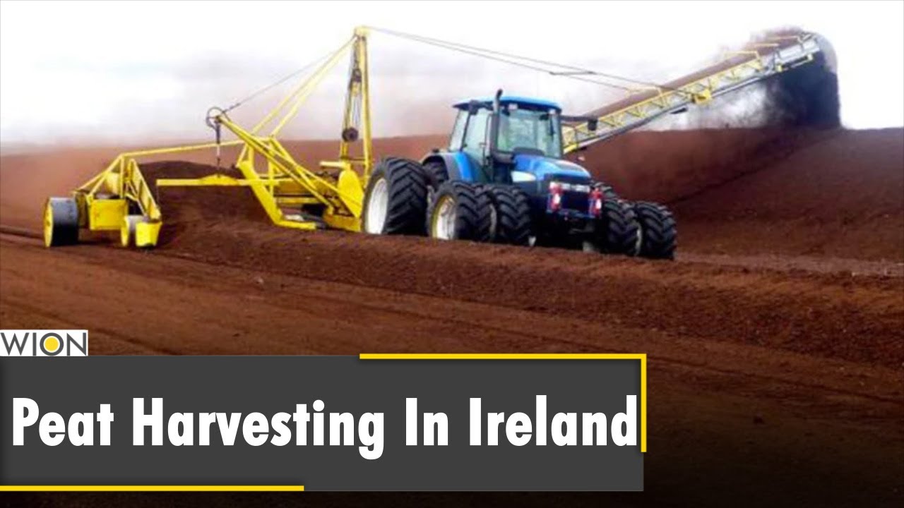 Why are Bogs important for harvesting in Ireland? | Latest World English News | WION News