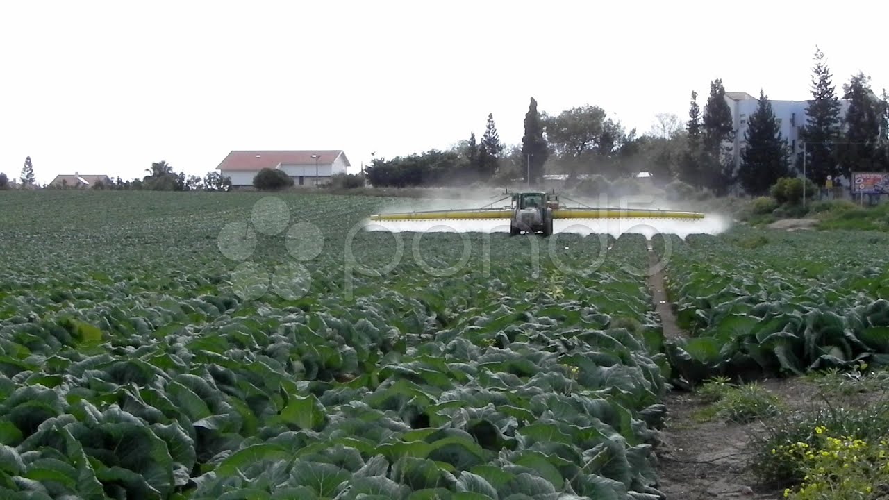 Agriculture Toxic Tractor Spraying Pesticides Crops Fertilize Organic Duster. Stock Footage