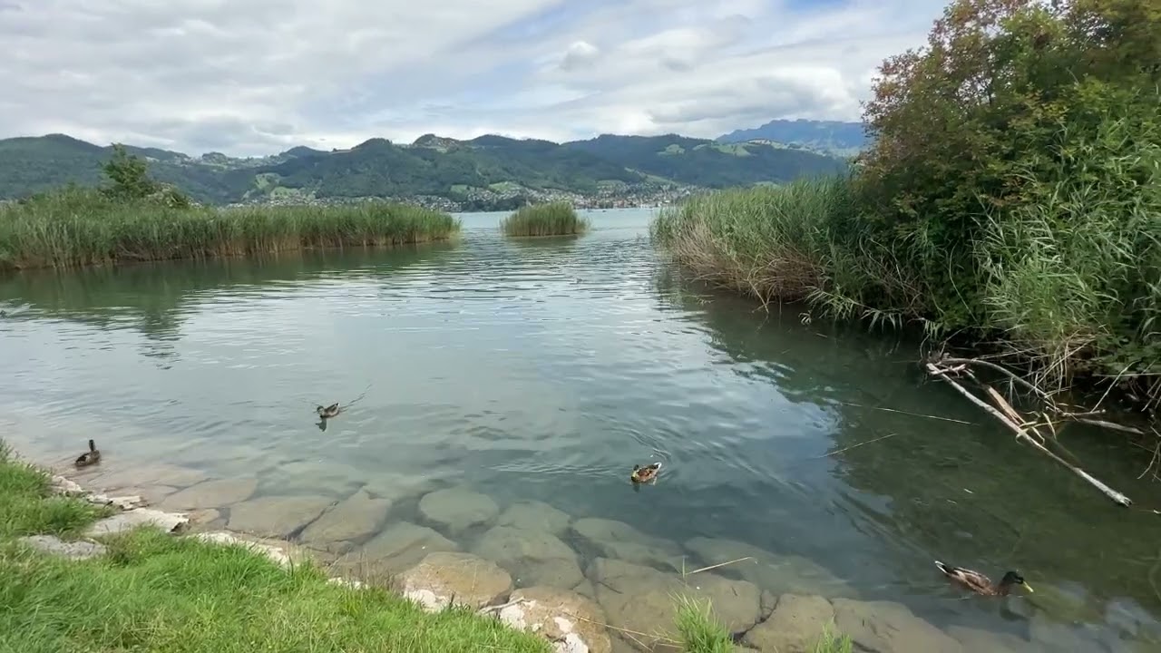 Bonstettenpark Thun Gwatt Dürrenast 2025 #travel #switzerland #bern #see