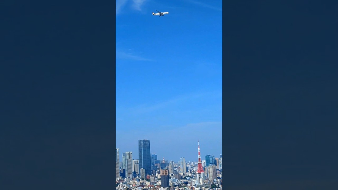 Flying across Tokyo 🗼 #flying #tokyocityscape