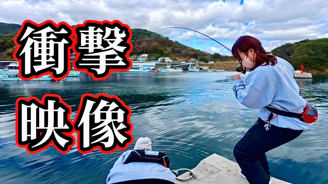 ここは釣り堀か！？漁港で巨アジ青物が乱舞…！