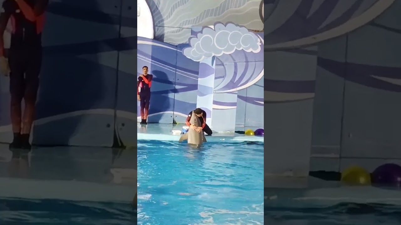 #fakhie#aquarium #jeddah #saudiaarbia 