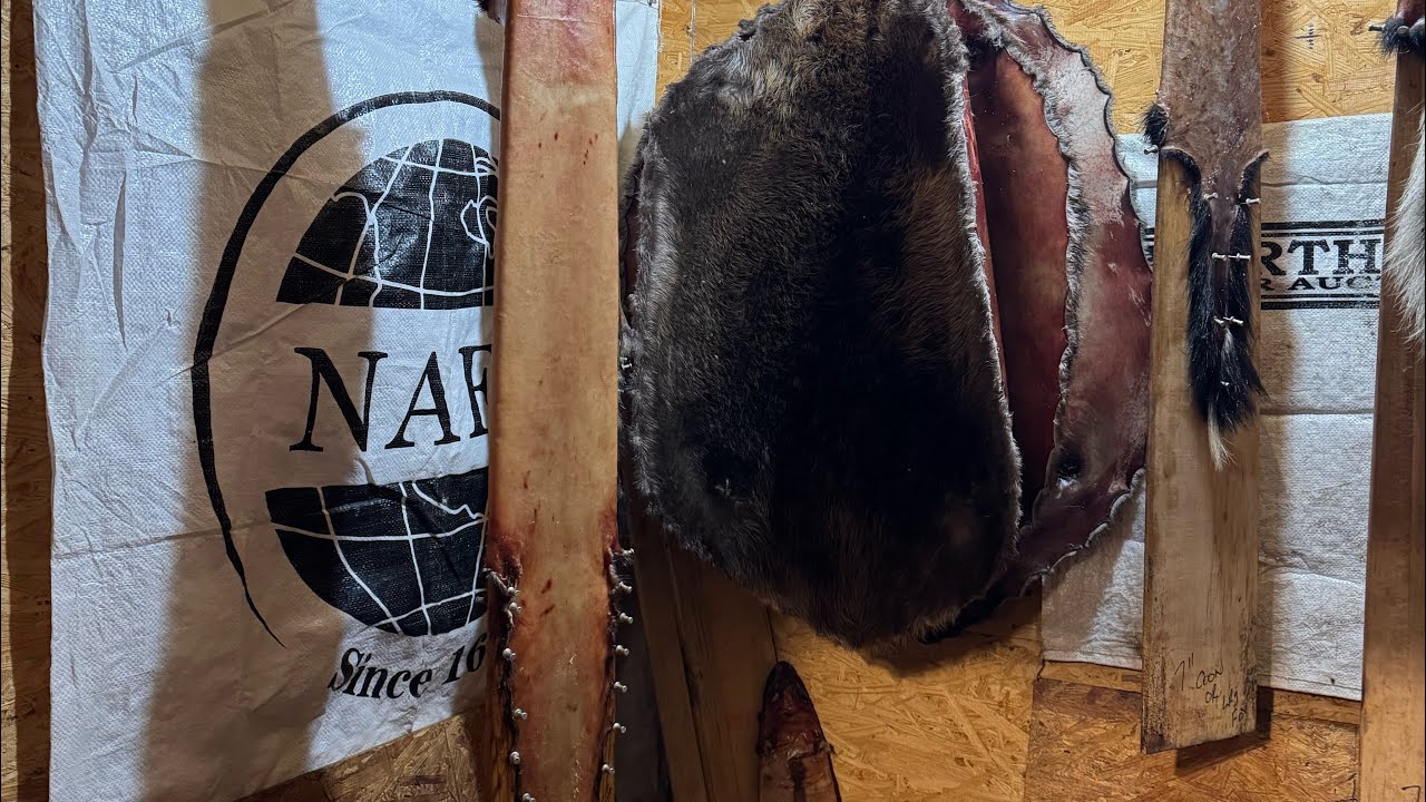 Water trapping:info,tips, and catches!