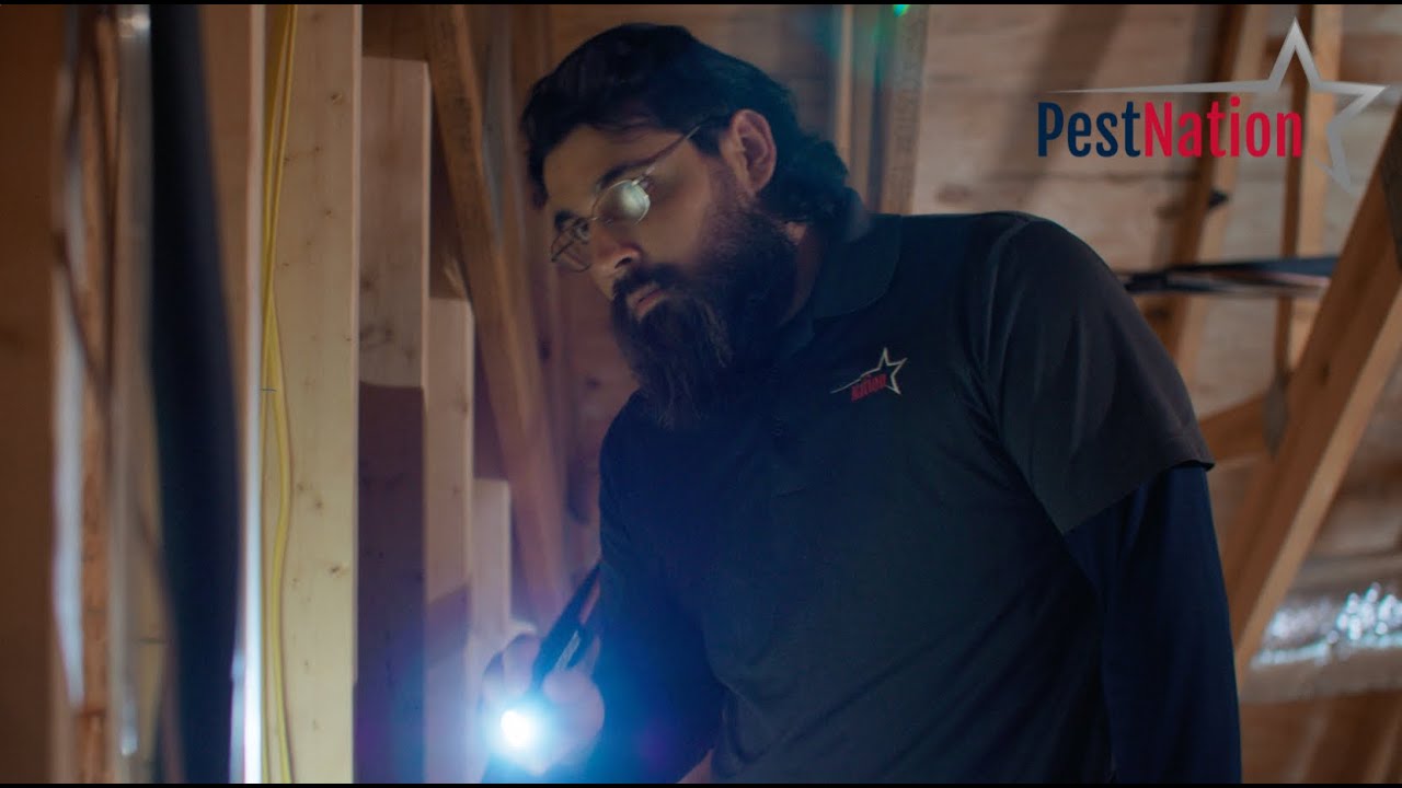 PestNation: Providing Freedom from Pests