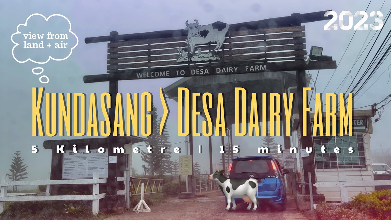 #jalan_b23 x #udara_b | Drive from Kundasang Town to Desa Dairy Farm, Sabah