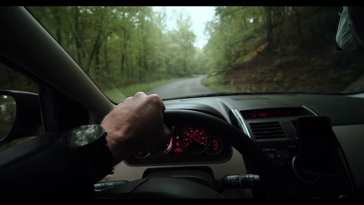Fast Driving On A Forest Road High Quality Stock Video | Copyright Free | Creator Mitra