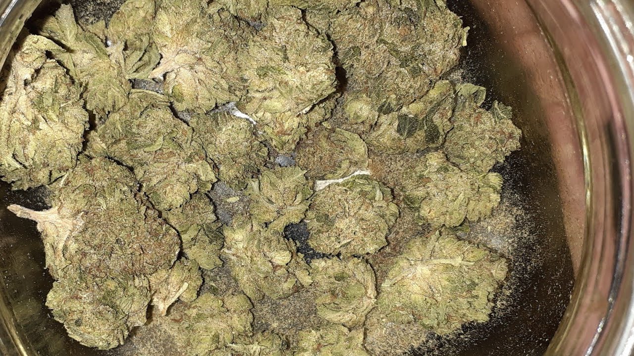 REVIEW #Tilray25Hybrid (Purps) 25,7%THC vs #Tilray25 #Indica (#MasterKush) 26%THC Review