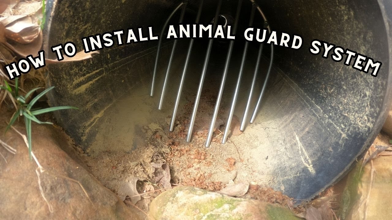 Installing animal guards in drainage pipes