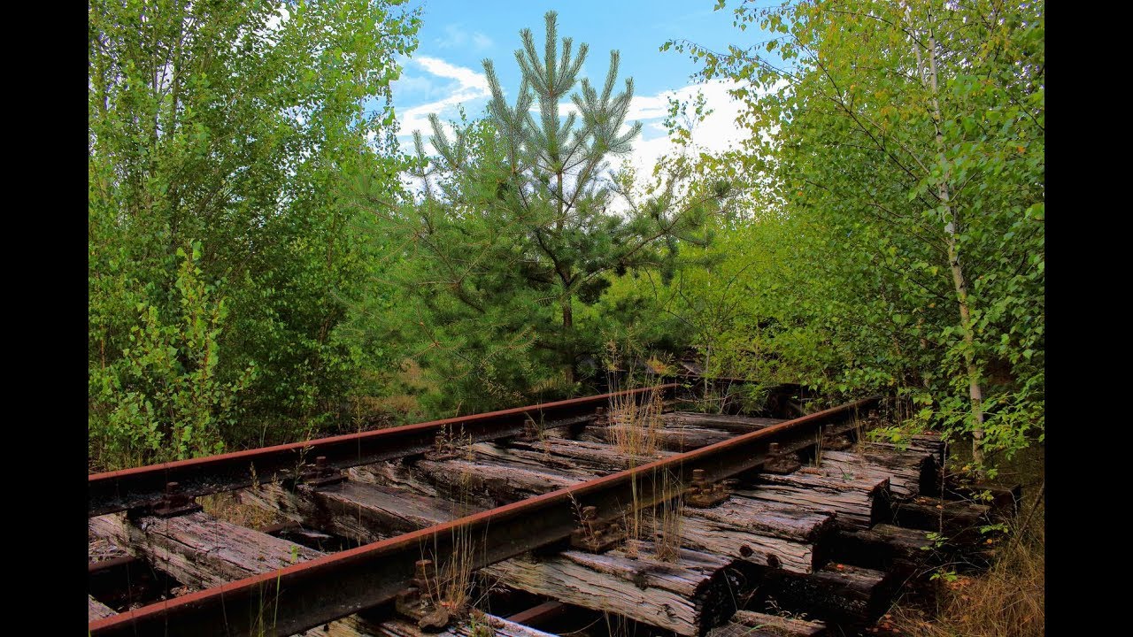 Der verlassene Rangierbahnhof Teil1   Gleise,Birken,Unterwelten