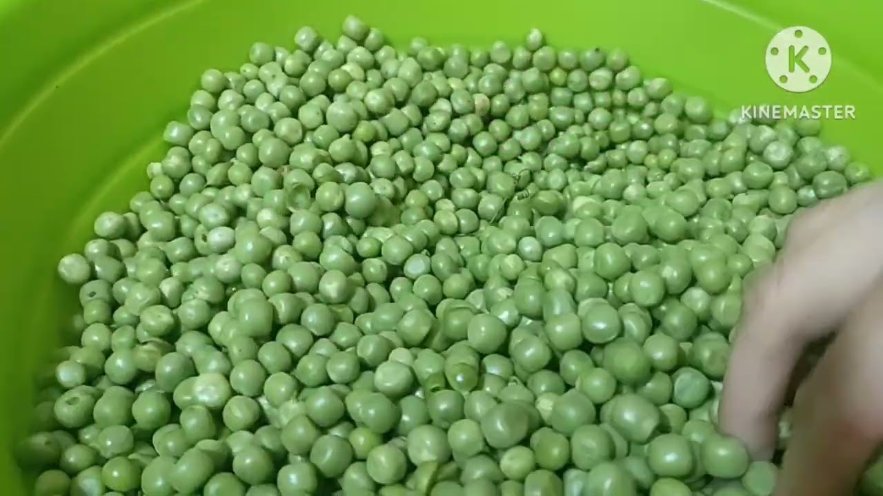 تفريزات رمضان2024