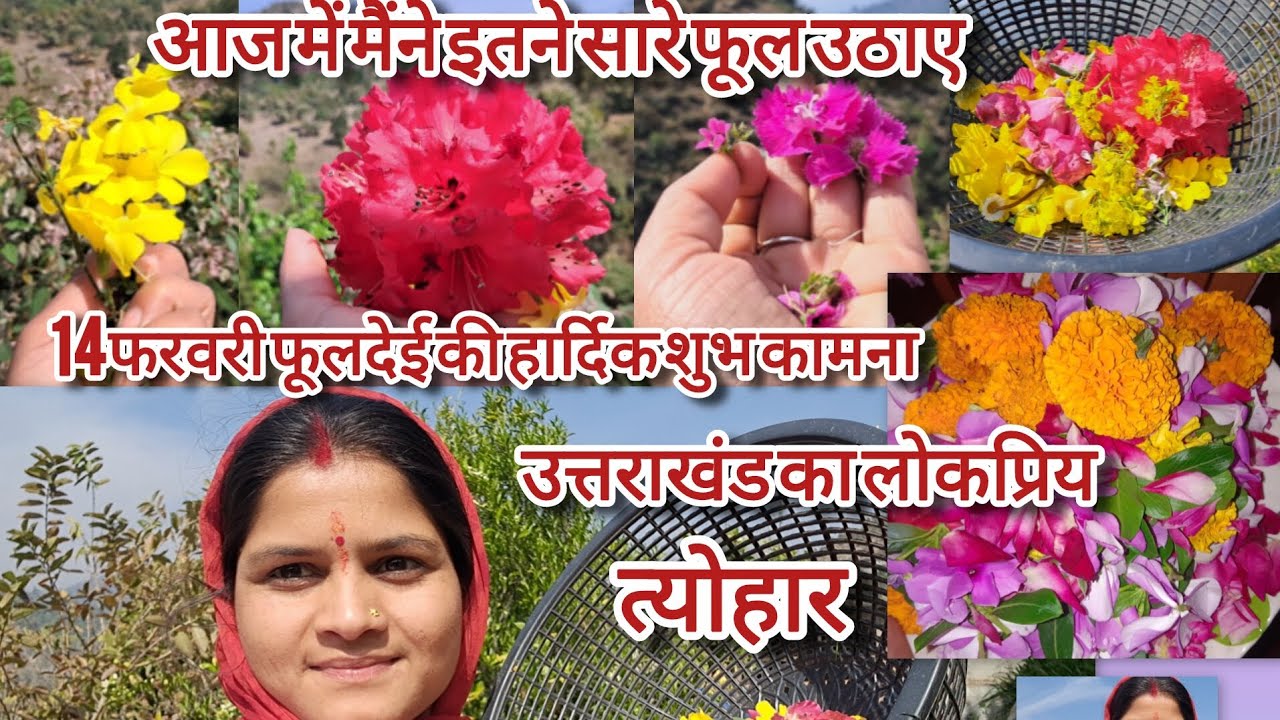  फूलदेई #बसंत आया 🌿 पहला दिन और प्रकृति की खूबसूरत हरियाली. Nature Vlog”#official ishu pahadi vlog 