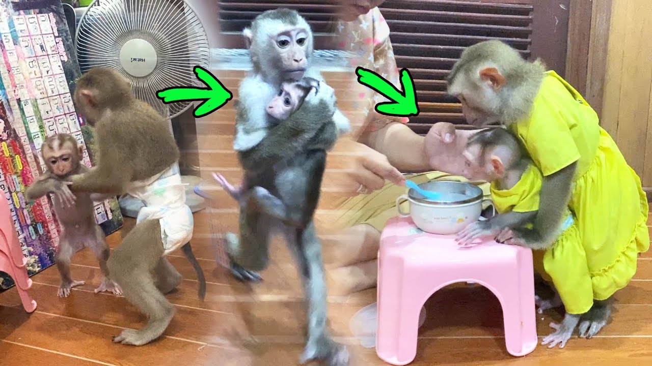 [Judee S0 Much Caring Jessi] Huq & Kss Left & Right..