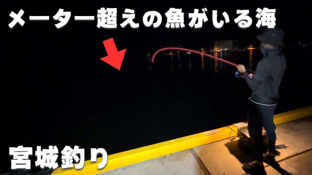 【宮城釣り】小魚が逃げ惑う海で、大物を夢見て釣り続けた結果…