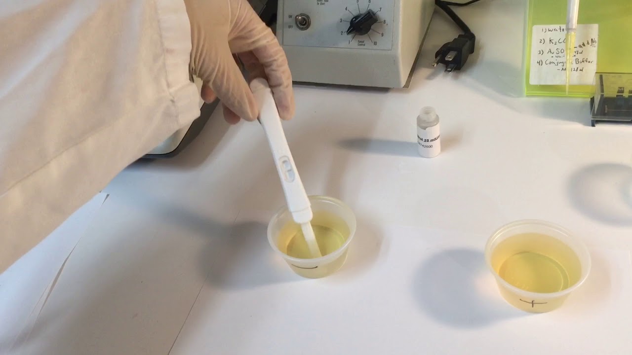 Acro Biotech, Inc - hCG Pregnancy Test Demonstration