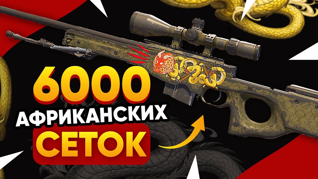 КУПИЛ 6000 AWP | Африканская Сетка в КС 2. Попалась РЕДКАЯ ДОРОГАЯ НАКЛЕЙКА S1MPLE и РЕДКИЕ ФЛОАТЫ