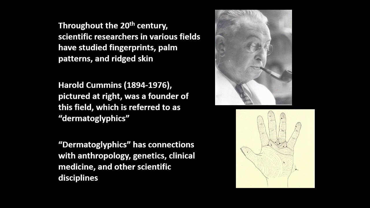 Dermatoglyphics: The Scientific Study of Fingerprints