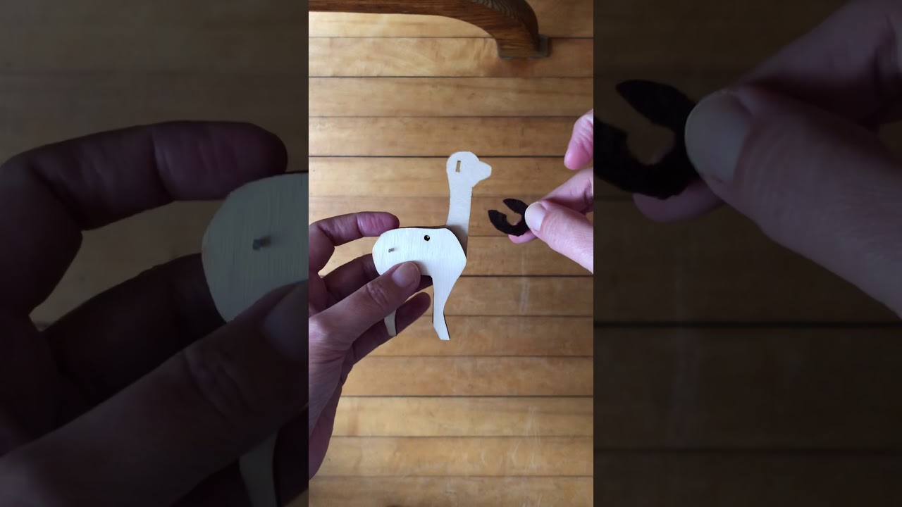 How To Wrap Your Alpaca