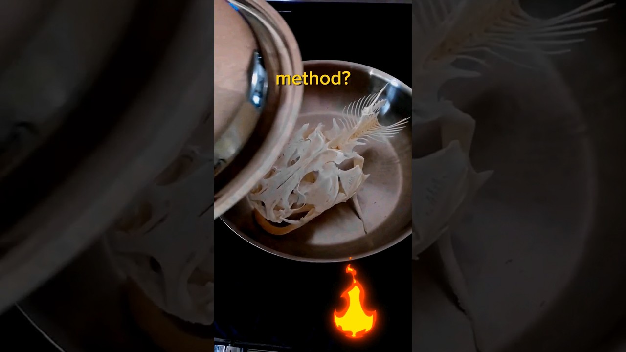 Лучший способ чистки черепа? 