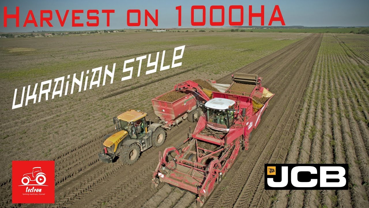 Ukraine: Potato Harvest on 1000Ha