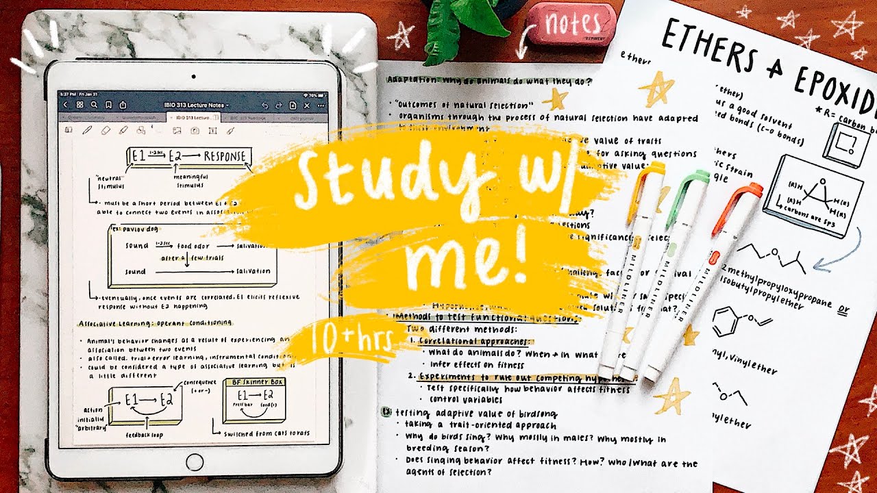 Study with Me - 10+ Hours of Studying & Note-taking - Michigan State University