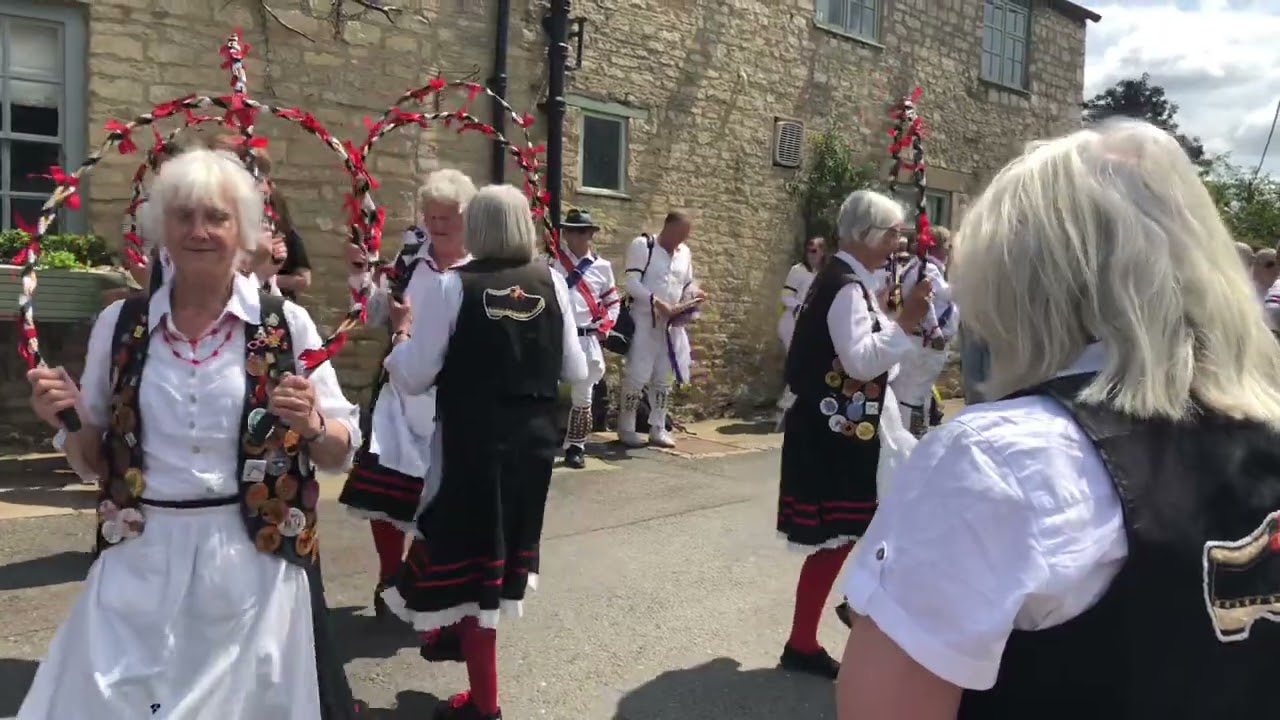 May Apple - Mason's Apron Morris, 2025-06-15
