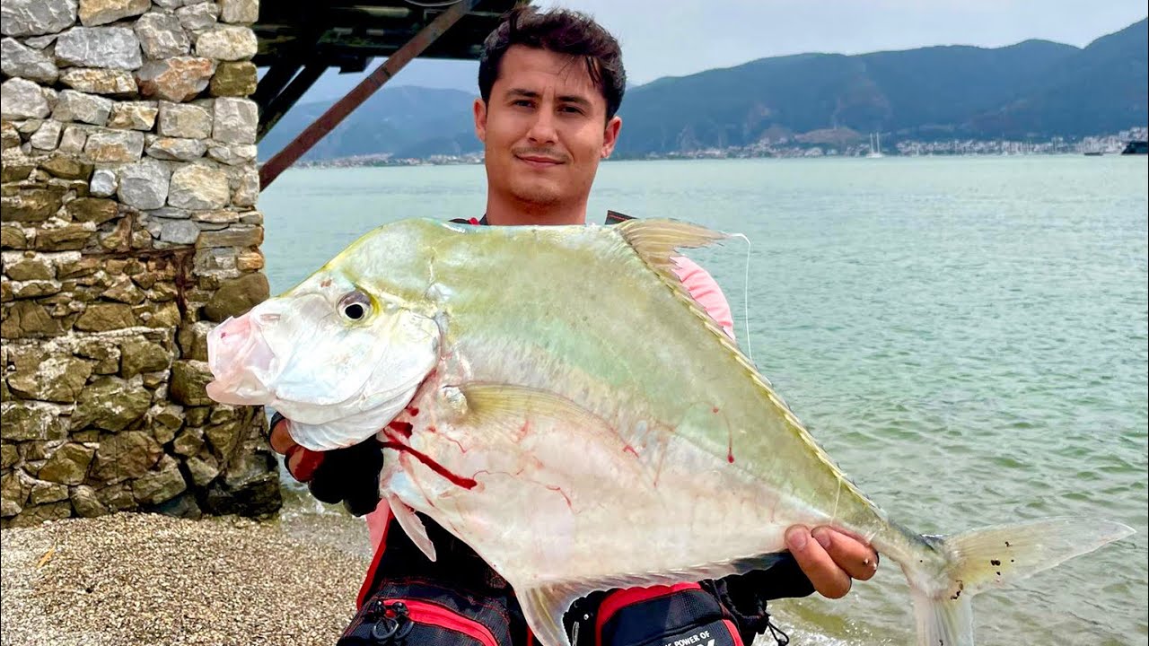 LRF ile SÜRPRİZ BALIK… İstavrit Avlarken Deve Balığı Geldi - At Çek Spin Balık Avı - Shimano Takım
