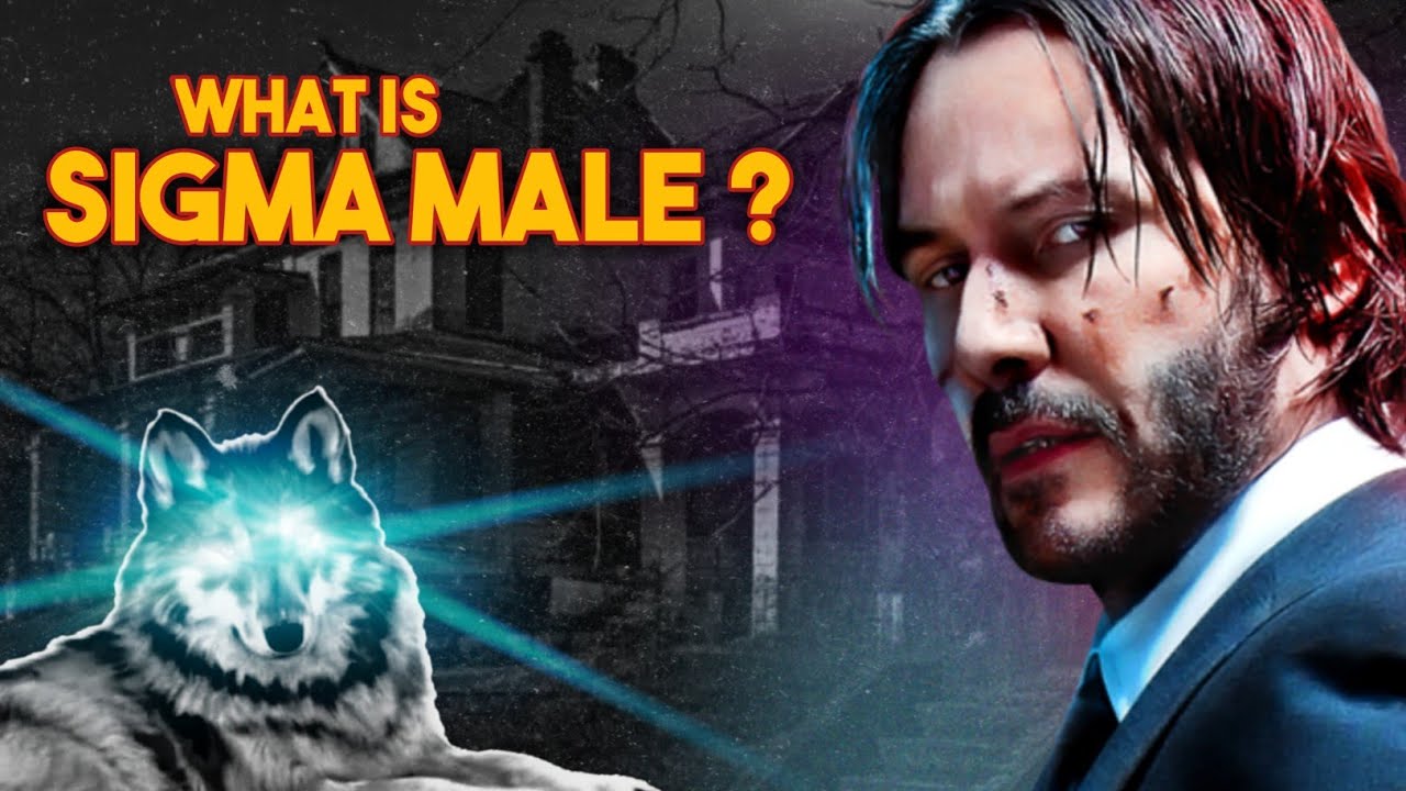 What Is Sigma Male ? in Hindi